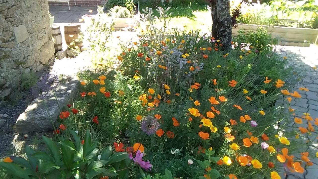 Les Tournesols Bed and Breakfast La Bernardiere Εξωτερικό φωτογραφία